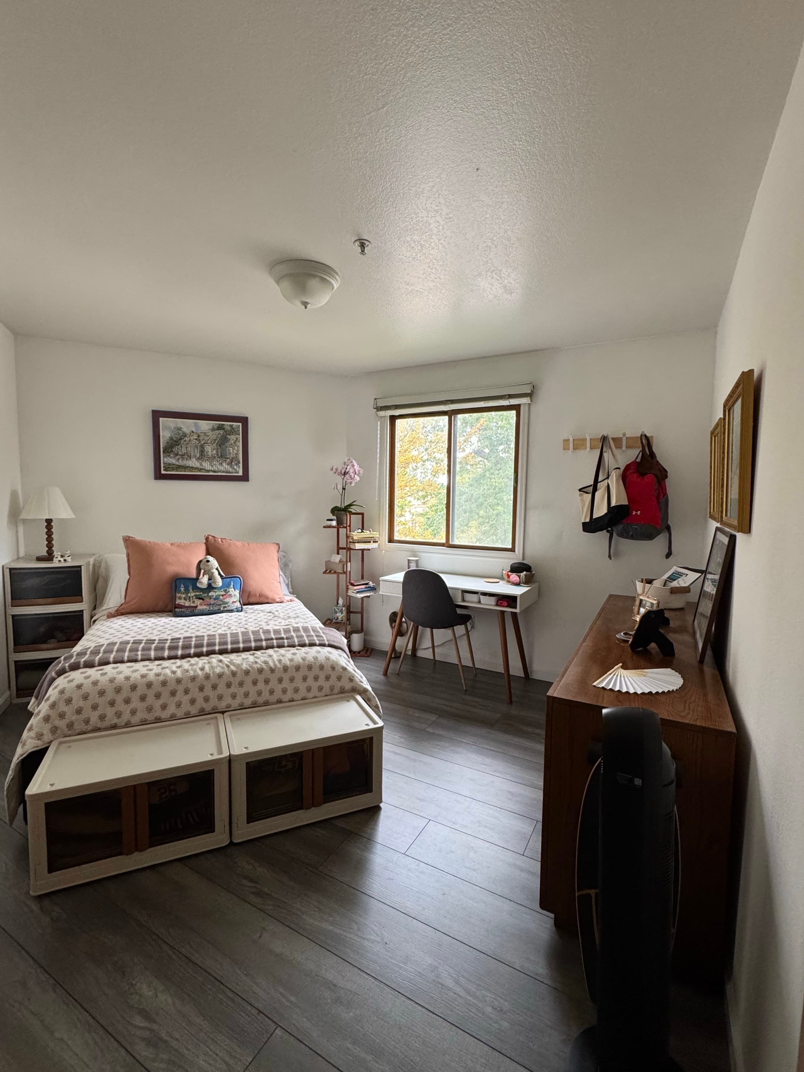 Cute Furnished Apartment on The Hill - Private Room in The Hill