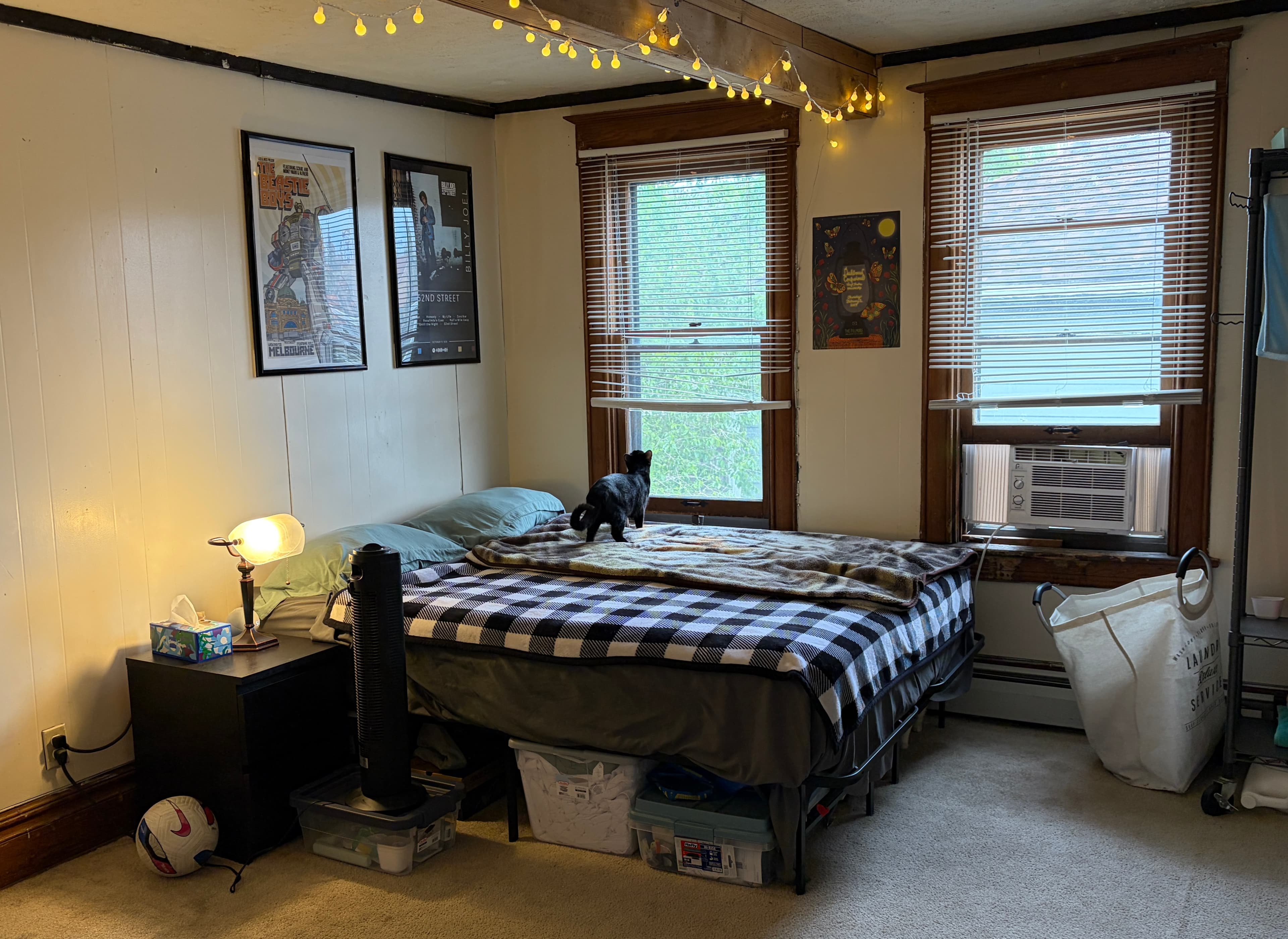 Summer Sublet. 3 BR with shared bathroom and two cats. 1 guy (Maybe 2 guys) - Private Room in Goss-Grove