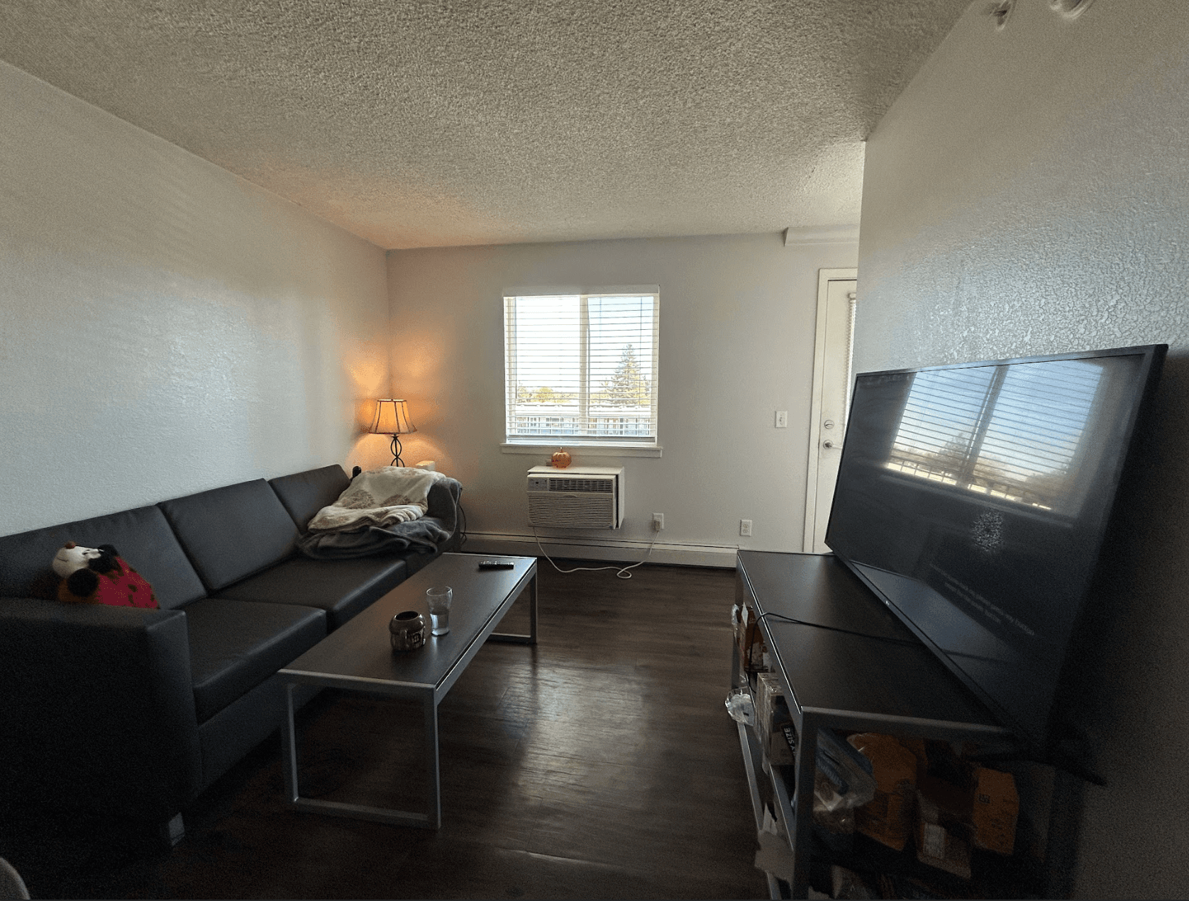 Sunny 2BR With Parking, In-Unit Laundry, 8 Min Walk to Campus, Close to Bus Stop - Private Room in Baseline Sub